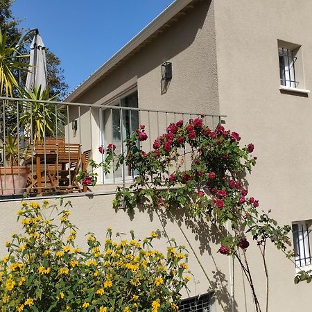 Charmante Maison Avec Jardin Aux Portes Des Gorges De L'Ardeche Saint-Julien-de-Peyrolas Экстерьер фото